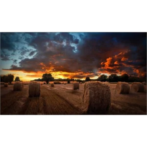 Samsung VM55B-U Pantalla Videowall 55" IPS 500nits - Experiencia Visual Profesional 24/7 - Imagen 2